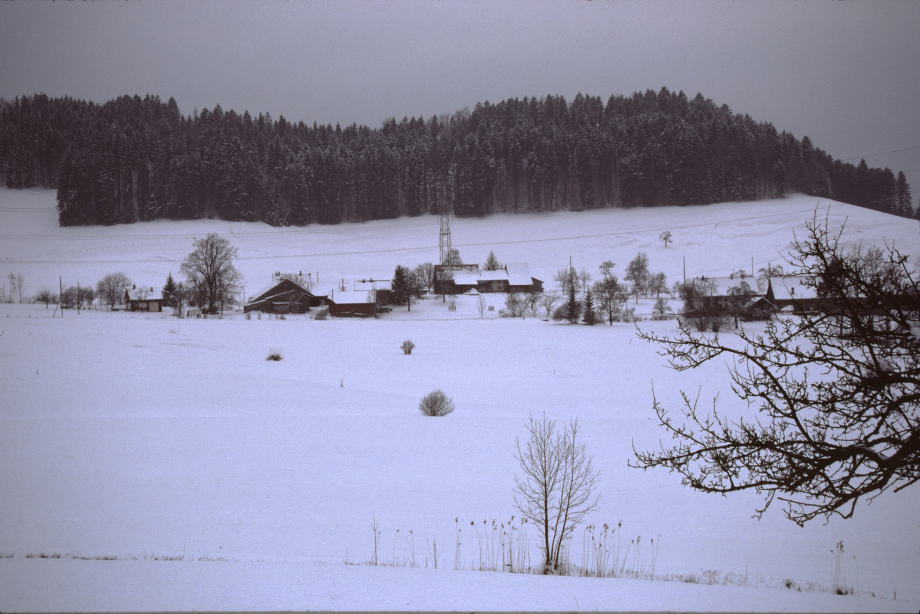 Wappenswil im Winter