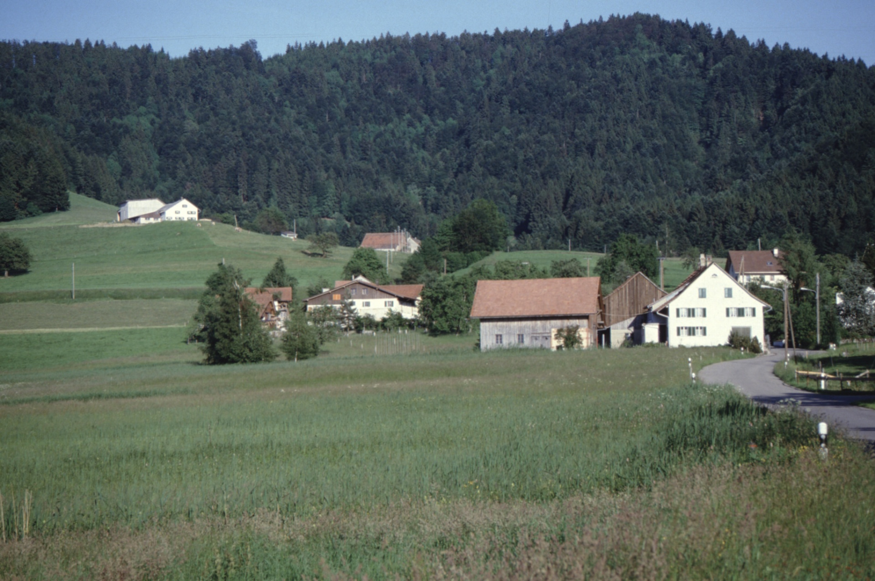 Platten, Holenstein, Oberwappenswil