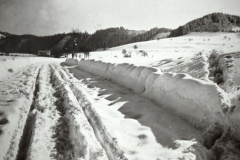 Strasse nach Wappenswil im Winter Strasse nach Wappenswil im Winter