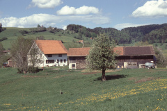Eichschür, Ernst Bertschinger (im Buch) Eichschür, Ernst Bertschinger (im Buch)