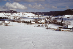 Blick vom Hasenrain im Winter Blick vom Hasenrain im Winter