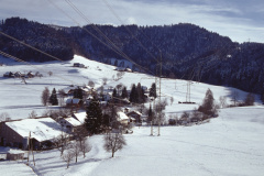 Unter Wappenswi, hinten Schwarzweid - Platte - Holenstein Unter Wappenswi, hinten Schwarzweid - Platte - Holenstein