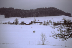 Wappenswil im Winter