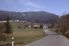 Blick Rtg Oberwappenswil - Platten - Holenstein