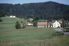 Platten, Holenstein, Oberwappenswil mit ehem. Frohsinn