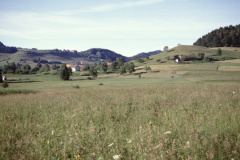 Blick von Wappenswil Rtg Maiwinkel, Allenberg Blick von Wappenswil Rtg Maiwinkel, Allenberg