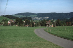 s Marti-Schürli zwischen Ober-Wappenswil und Holenstein