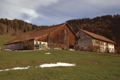 Holenstein