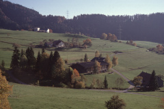 Schmärschür F. Jung - Schwarzweid - Platten