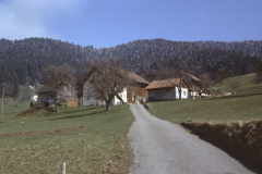 Schwarzweid