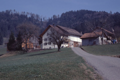 Schwarzweid