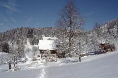 Aesch im Winter