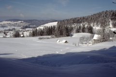 Aesch, Blick auf Aemet