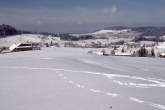 Zw. Aesch - Holenstein Blick auf Platten - Aesch