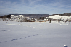 Wappenswilerried im Winter