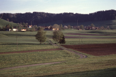 Blick auf Maiwinkel, imVG das 1940 meliorierte Bettswiler Riet