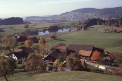 Maiwinkel und Stöckweiher im Herbst