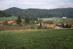 Maiwinkel - Sägerei - Schwarzw. - Platten