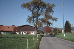 Tisenwaltsberg