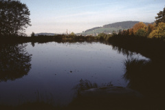Ritterweiher