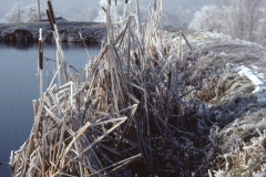 Ritterweiher