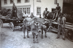 Holzen dazumal - Fuhrwerk Allenberg mit Fuhrmann Henri Fenner.