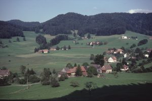 Wappenswil, im Hintergrund Schmärschür, Schwarzweid und Platten