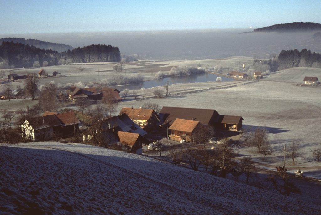 Maiwinkel, Oberi Stockrüti und Stöckweiher. im Hintergrund Eichschür, Eichholz und Unteri Stockrüti