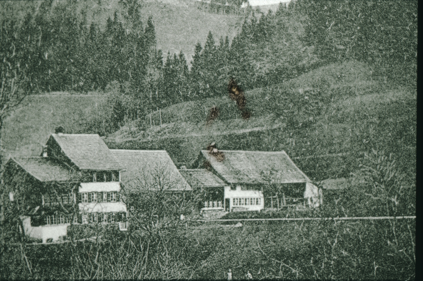 Heimarbeiterhäuser «Im Schürli» links und rechts der Rüeggenthalstrasse westlich Unter-Rüeggenthal