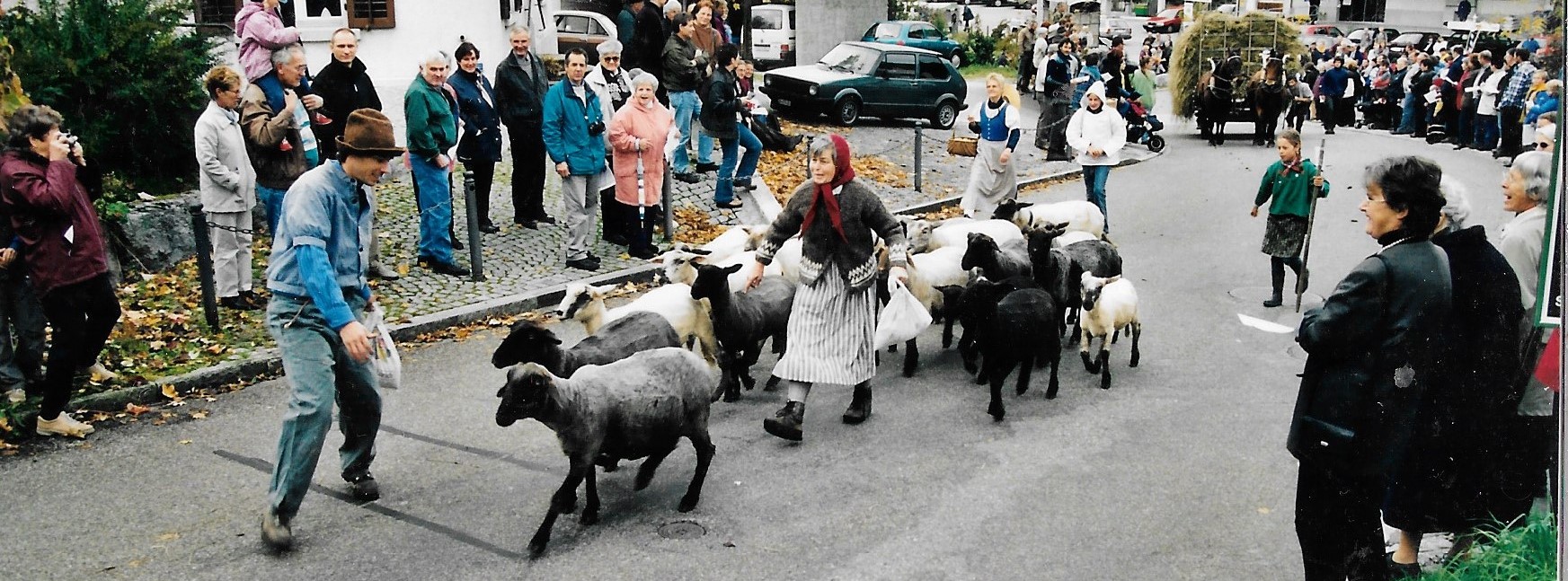 100-J VZG, Schafe, Annemarie Welti, Hinterburg